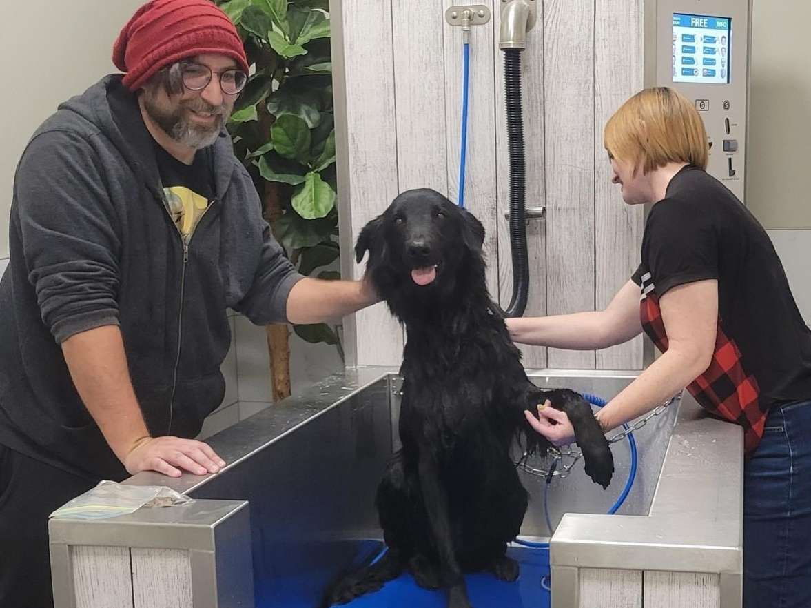 Waggin' Tails Dog Wash, business photo 2