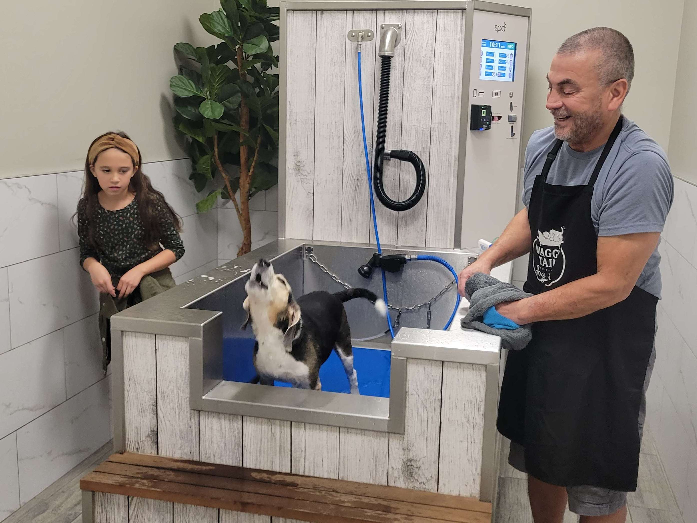 Waggin' Tails Dog Wash, business photo 6