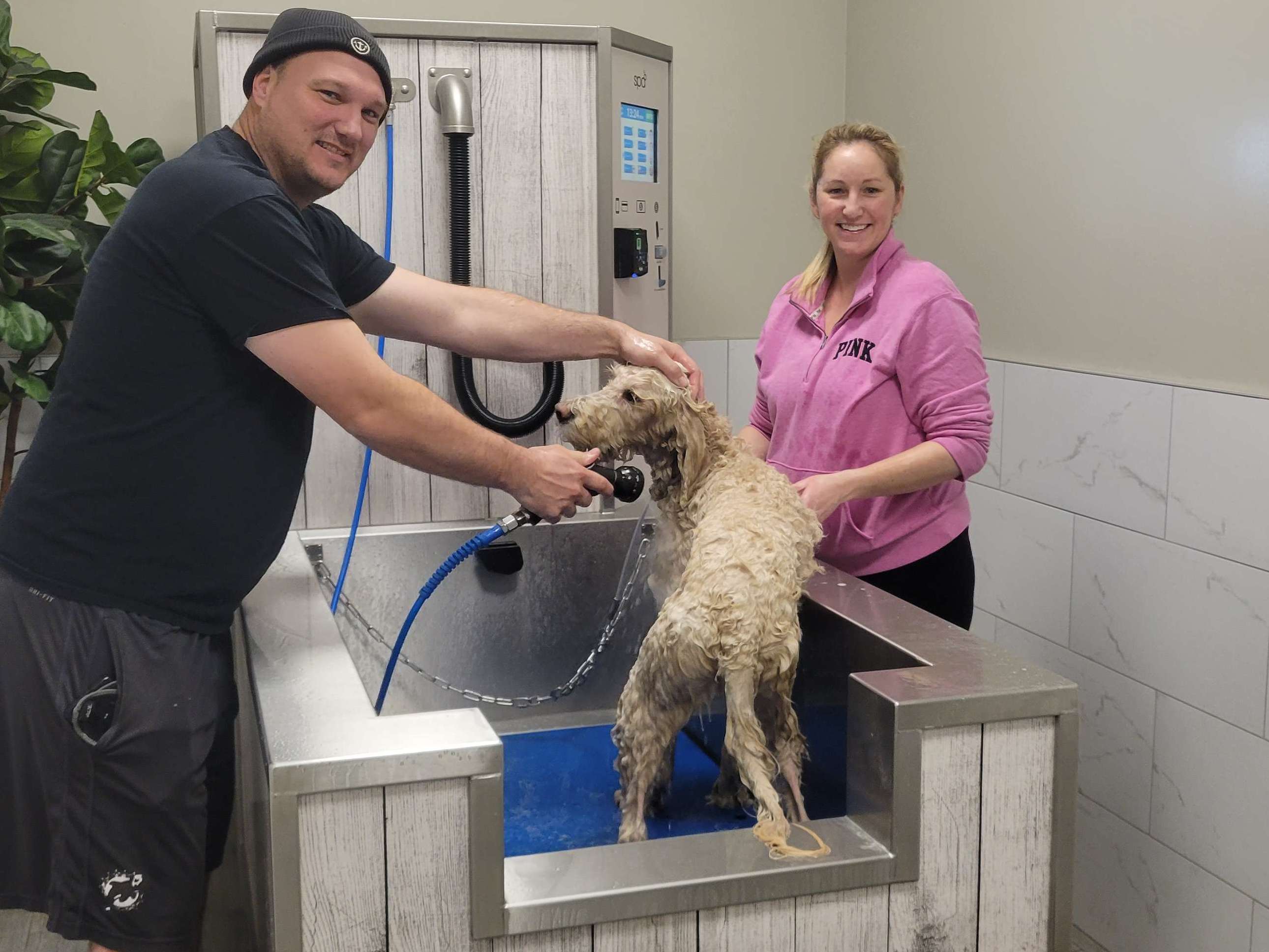 Waggin' Tails Dog Wash, business photo 5