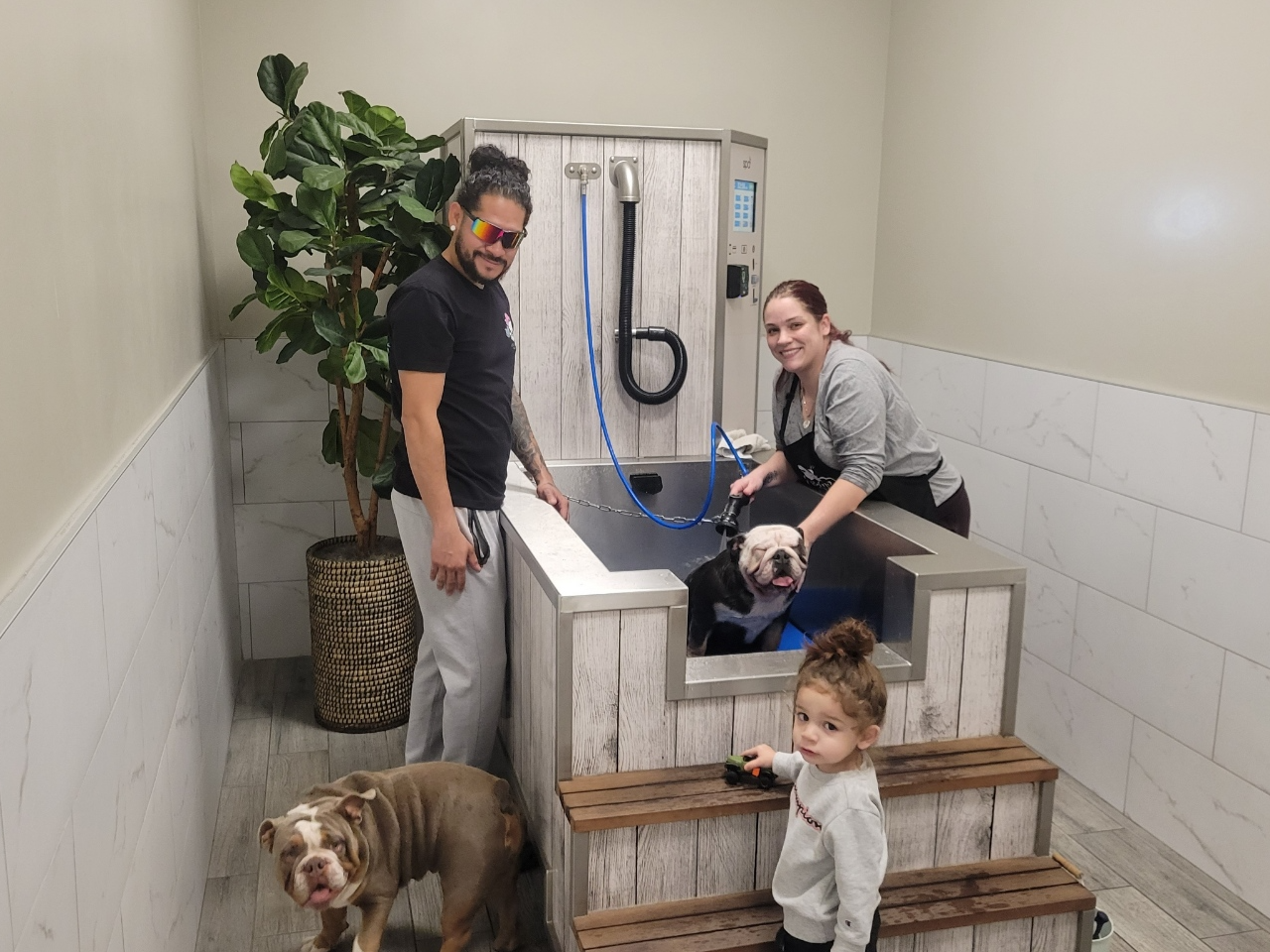 Waggin' Tails Dog Wash, business photo 7