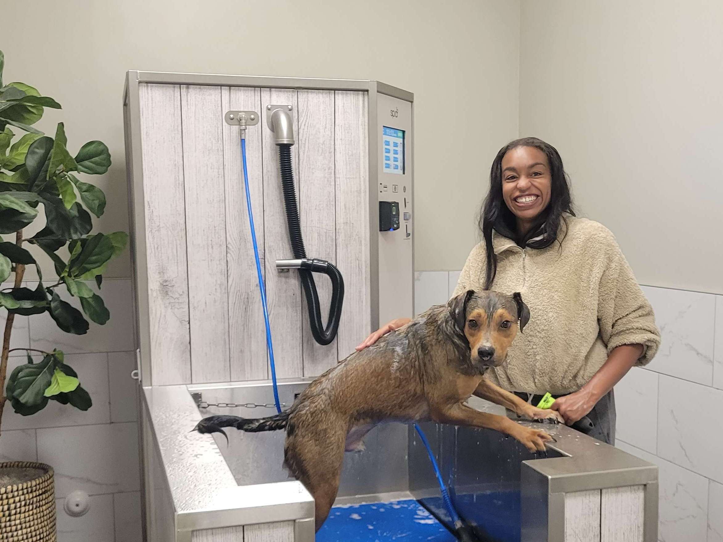 Petsmart self dog clearance wash